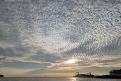 nojima20261004-062847-0