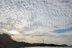 nojima20261004-064804-0