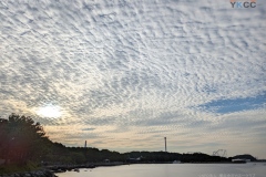 nojima20261004-064814-0