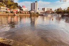 biwajima20261004-071123-0